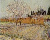 文森特 威廉 梵高 : 有柏树的果园